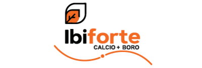 Logo Ibiforte