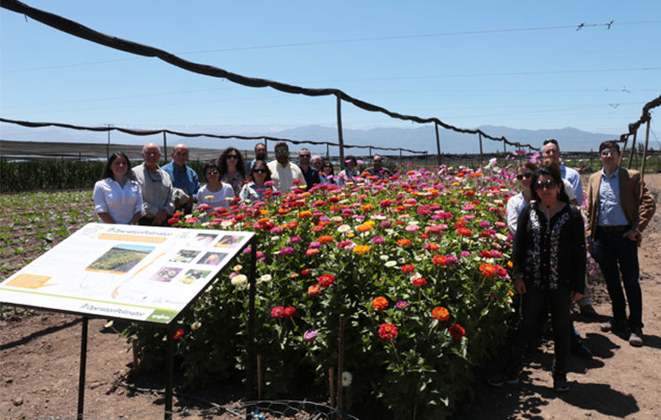 Autoridades nacionales visitan campos que han implementado Operation Pollinator 