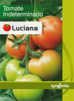 Tomate Luciana