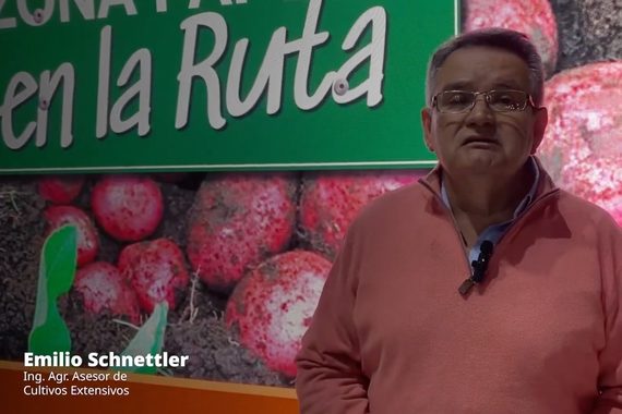 Video: Los desafíos del cambio climático en el cultivo de papas - Emilio Schnettler