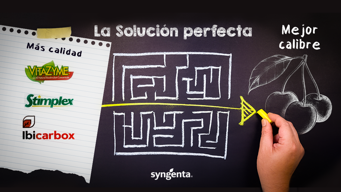 solucion