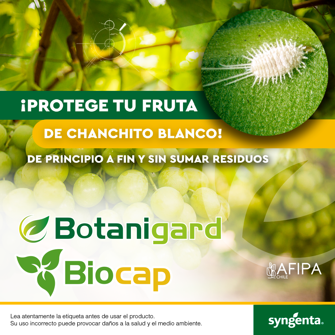 Botanigard y Biocap