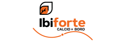 Logo Ibiforte
