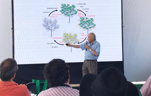 Profesionales de Syngenta participan en Seminario de Almendras