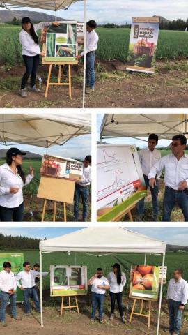 Soluciones  para cultivo de cebollas tuvieron su día de campo