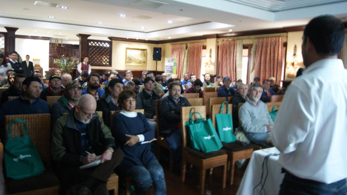 Presentación Oficial REFLECT® TOP en Rengo