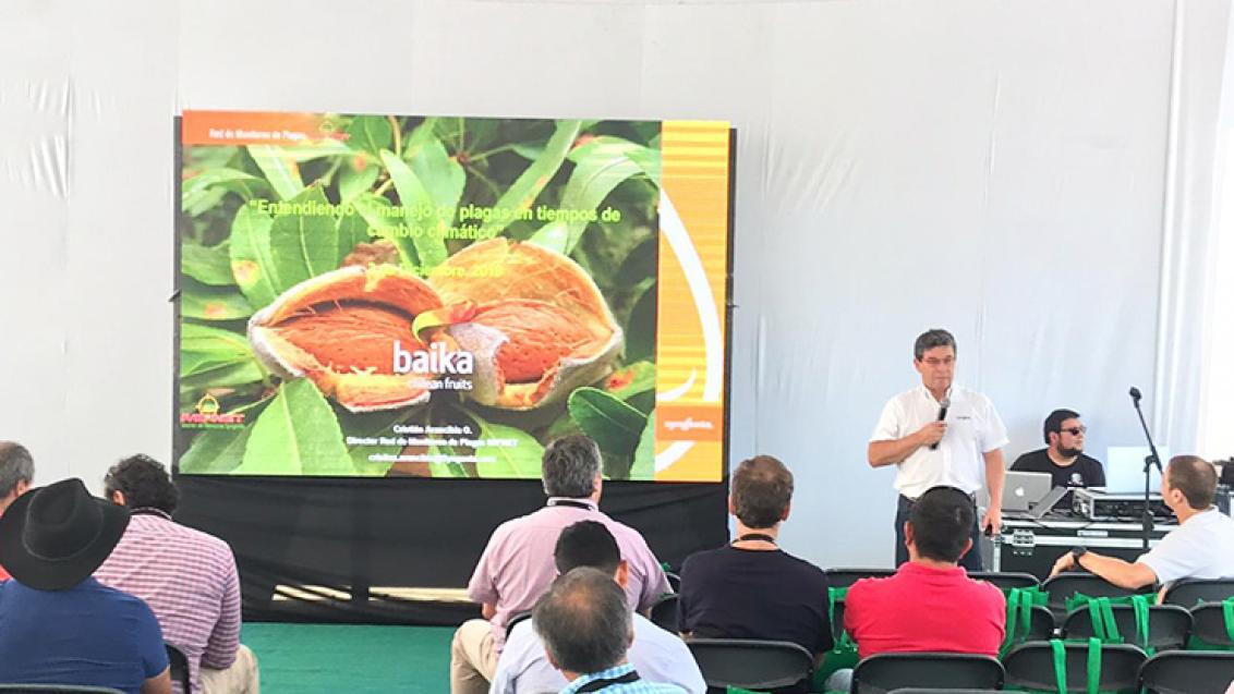 Profesionales de Syngenta participan en Seminario de Almendras