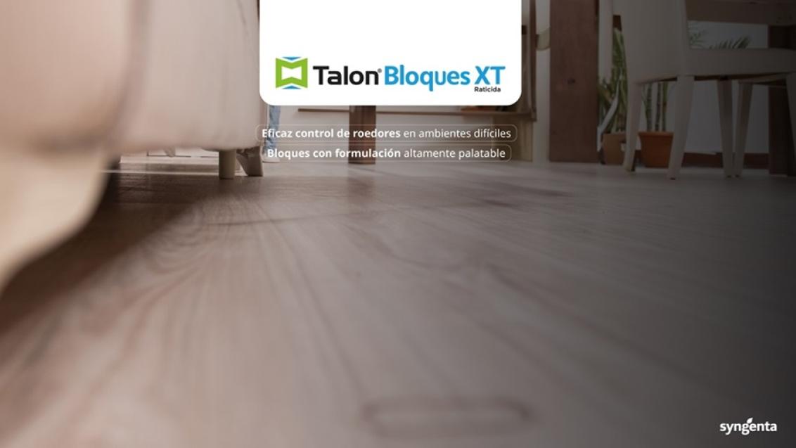 banner_talon