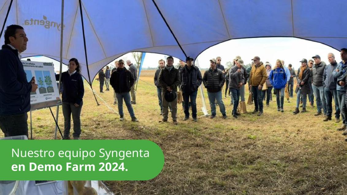 Banner Demo Farm 2024