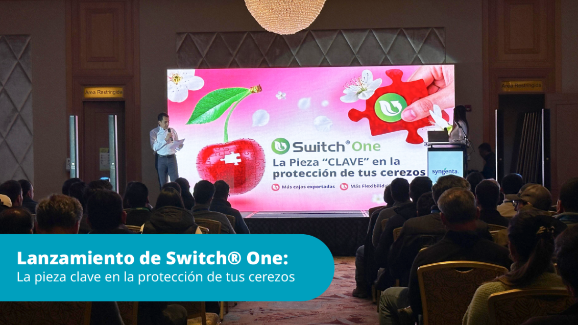 bannerweb Lanzamiento de Switch® One