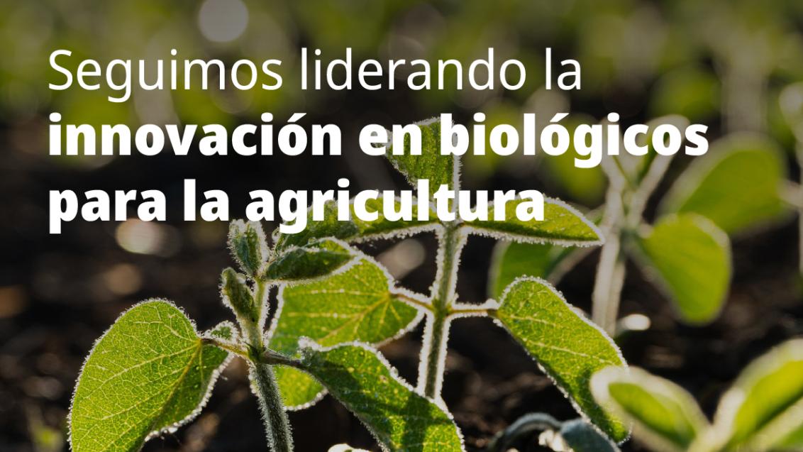 post_innovacion-05.jpg