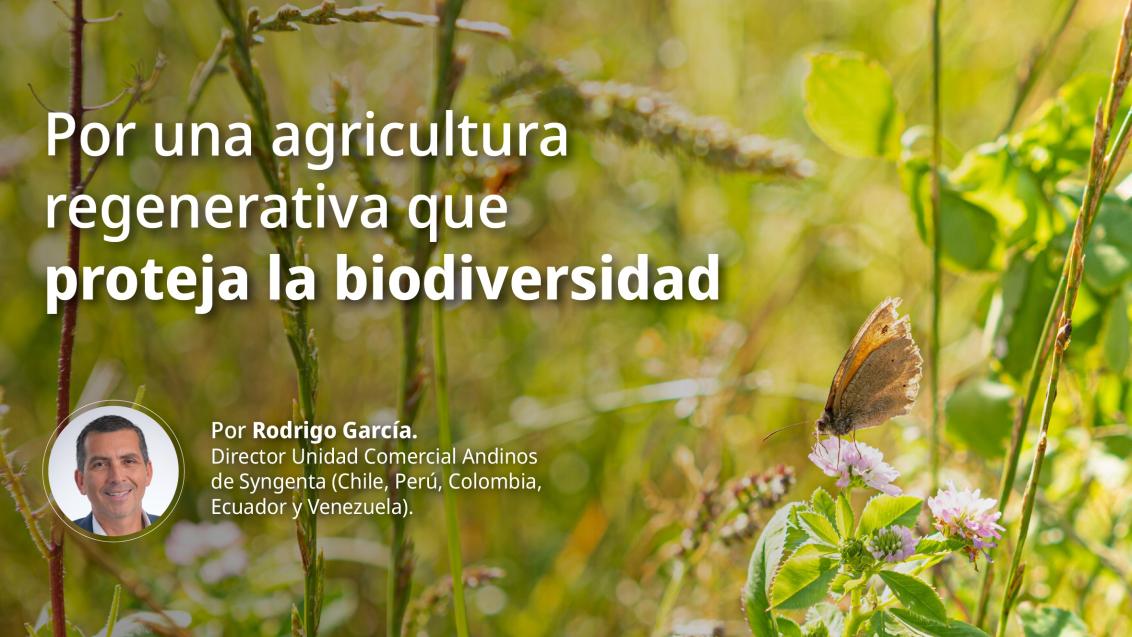 bio-banner-aprobado-diversidad