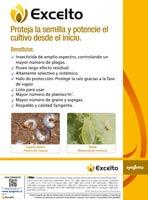 Excelto