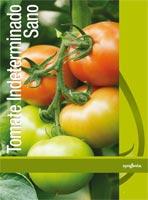 Tomate Indeterminado Sano