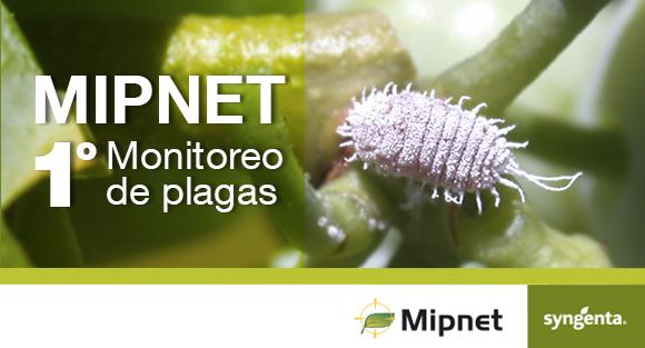 Programa MIPnet