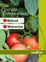 Tomate Determinado – Bobcat - Wolverine
