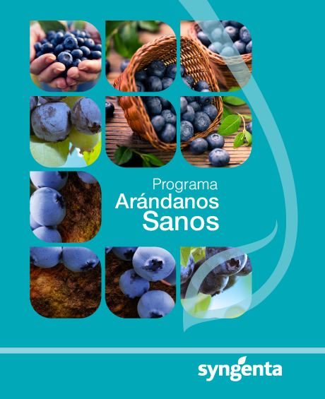 Portada programa arandanos
