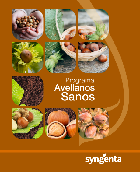 Portada programa avellanos