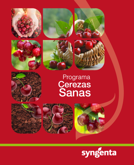 Portada programa cerezas