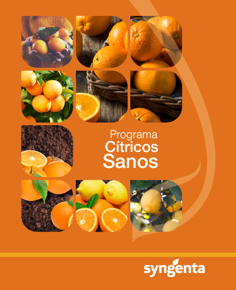 Portada programa citricos