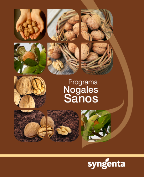 Portada programa nogales