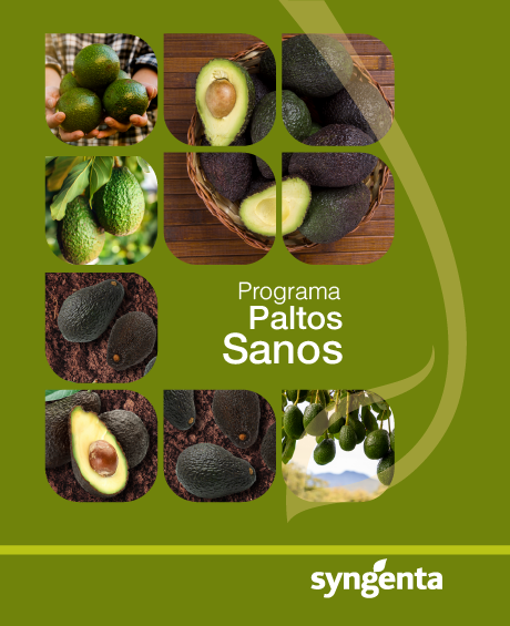 Portada programa paltos