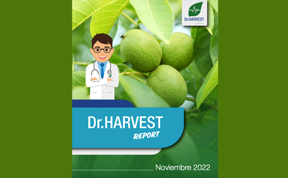 Dr Harvest Especial Nogales