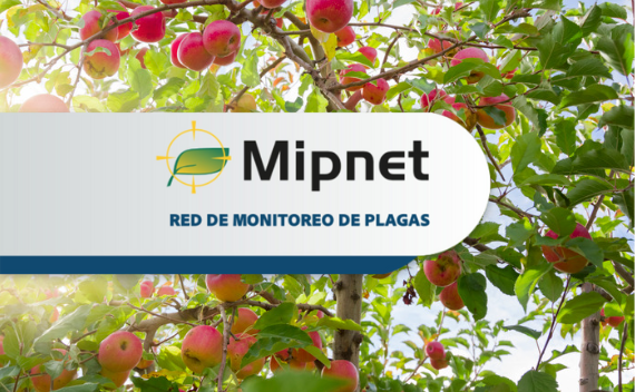 revista_digital_mipnet_ene23
