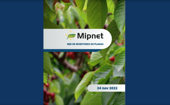 revista_digital_mipnet_nov22