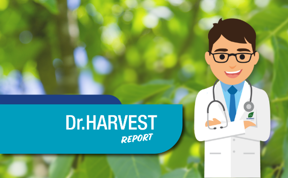 revistas digitales dr harvest