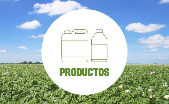 revistas digitales productos