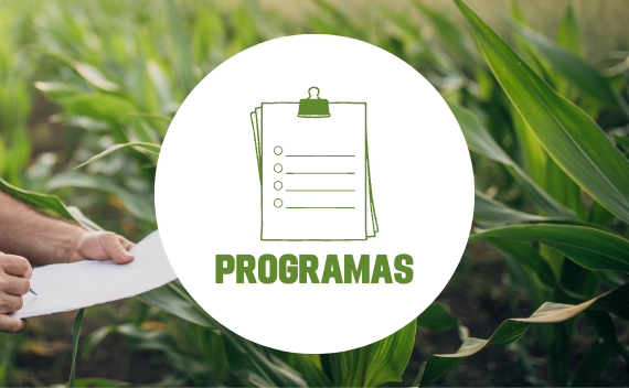 revistas digitales programas