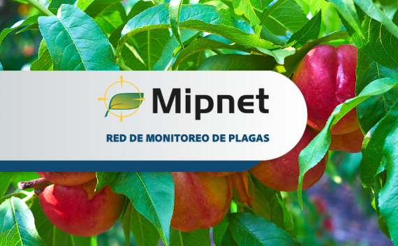 revista digital mipnet febrero 2023