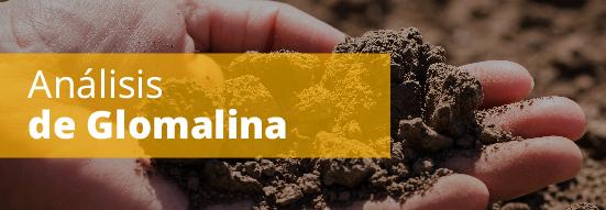 Análisis de Glomalina
