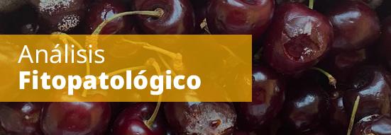 Análisis fitopatológico