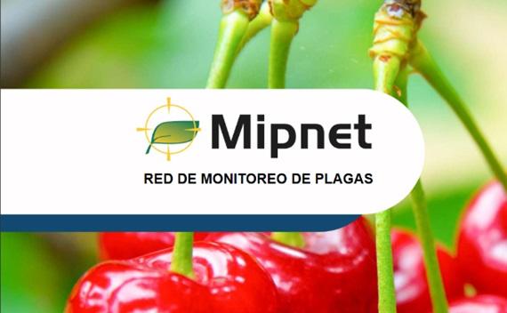 mipnet noviembre 2023