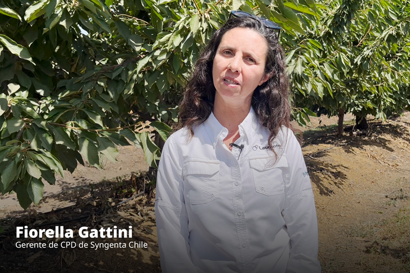 preview Testimonial Laudento® - Fiorella Gattini