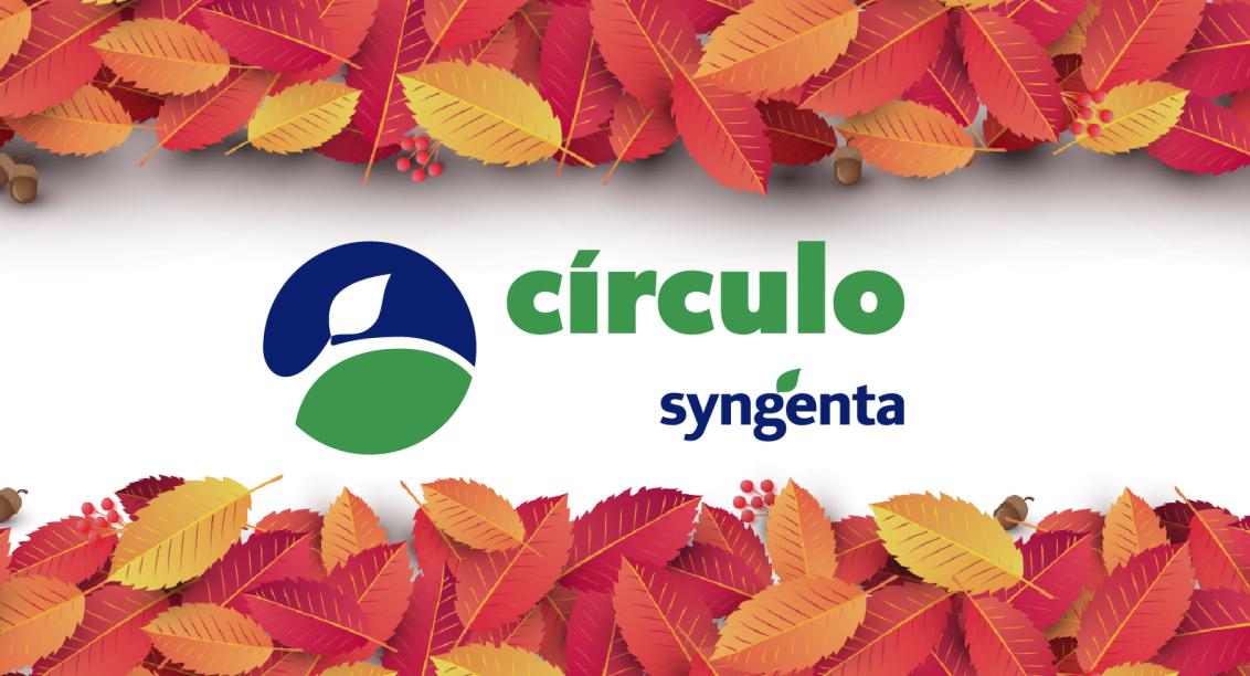 Banner otoño