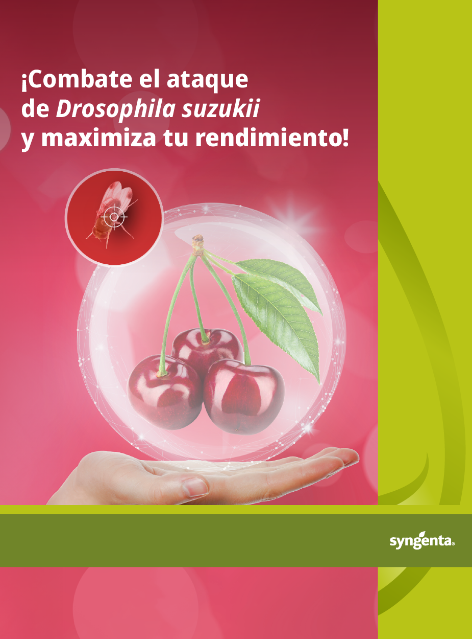 Drosophila suzukii