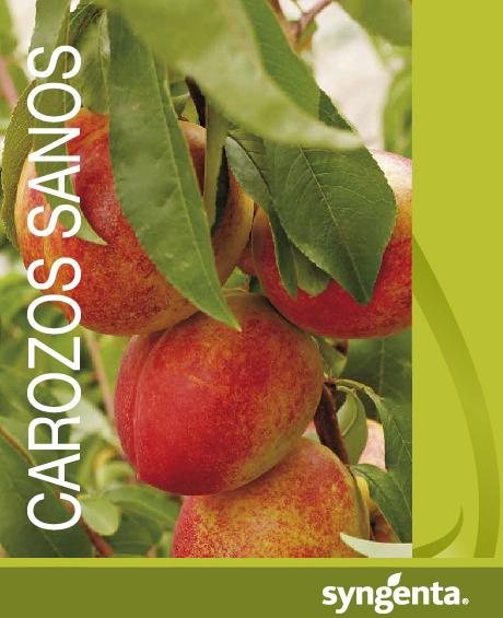 imagenes_programas_fitosanitarios_72dpi_carozos