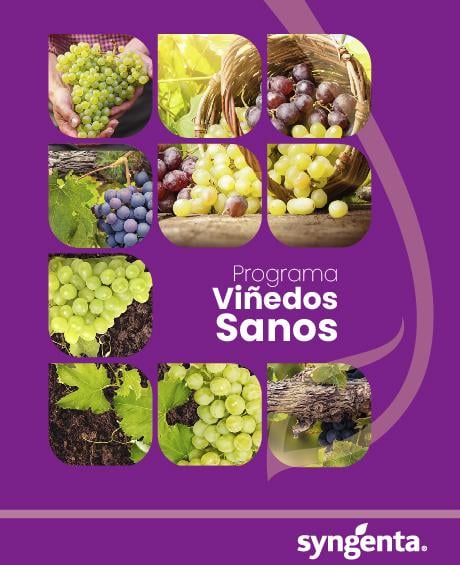 imagenes_programas_fitosanitarios_72dpi_vides