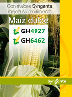 Maiz Dulce GH4927-GH6462