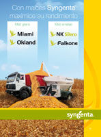 Semillas de maíz grano y ensilaje – Miami, Okland, NK Silero, Falkone