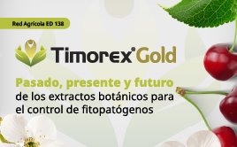 Timorex Gold revista