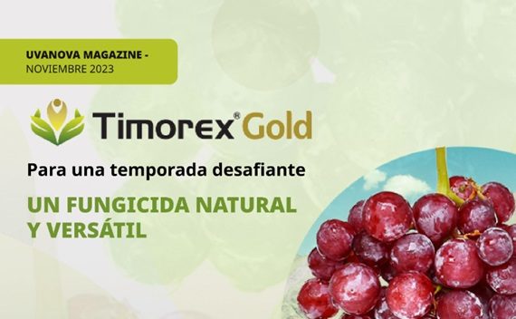 Revista Timorex Gold Uvanova