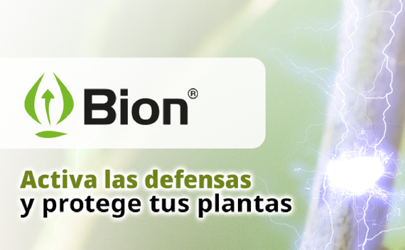 Banner Bion Revista