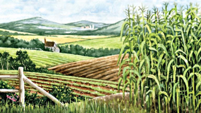 50 maneras de usar responsablemente su producto fitosanitario