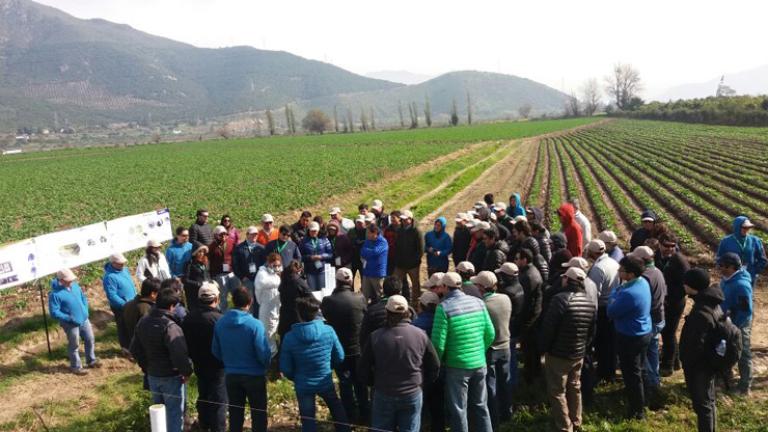 Encuentro anual del “Club de Amigos de las Hortalizas”