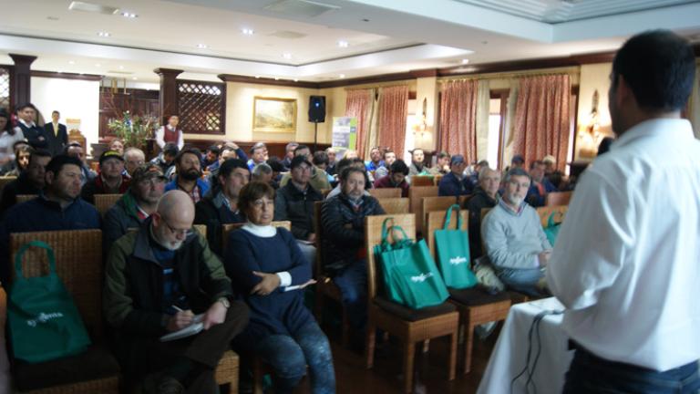 Presentación Oficial REFLECT® TOP en Rengo