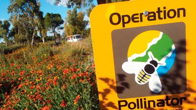 Operation Pollinator